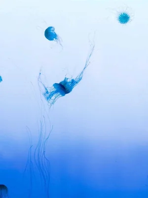 平凡见真章