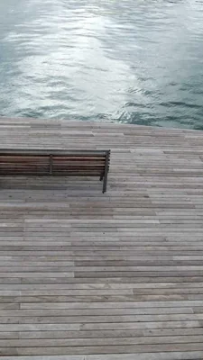 海边捡贝壳